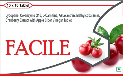 facile logo